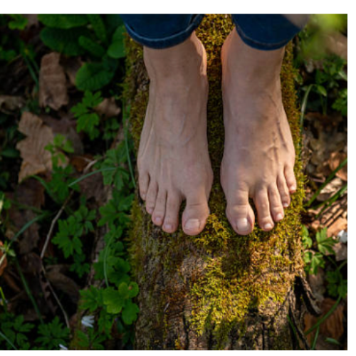 Grounding (Earthing): What Is It — and Why Are More People Paying Attention