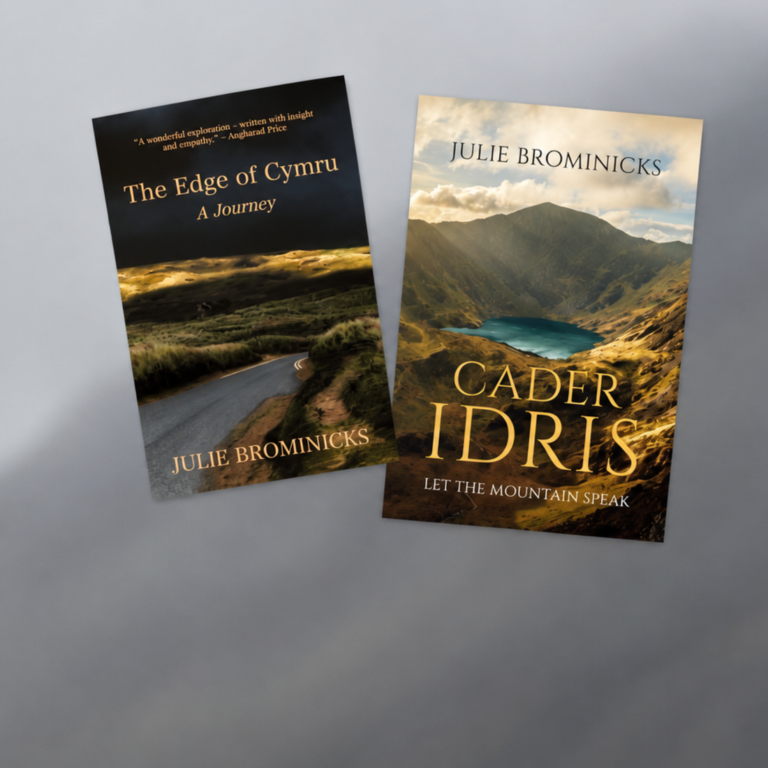 From Boots to Books – An Evening with Julie Brominicks.