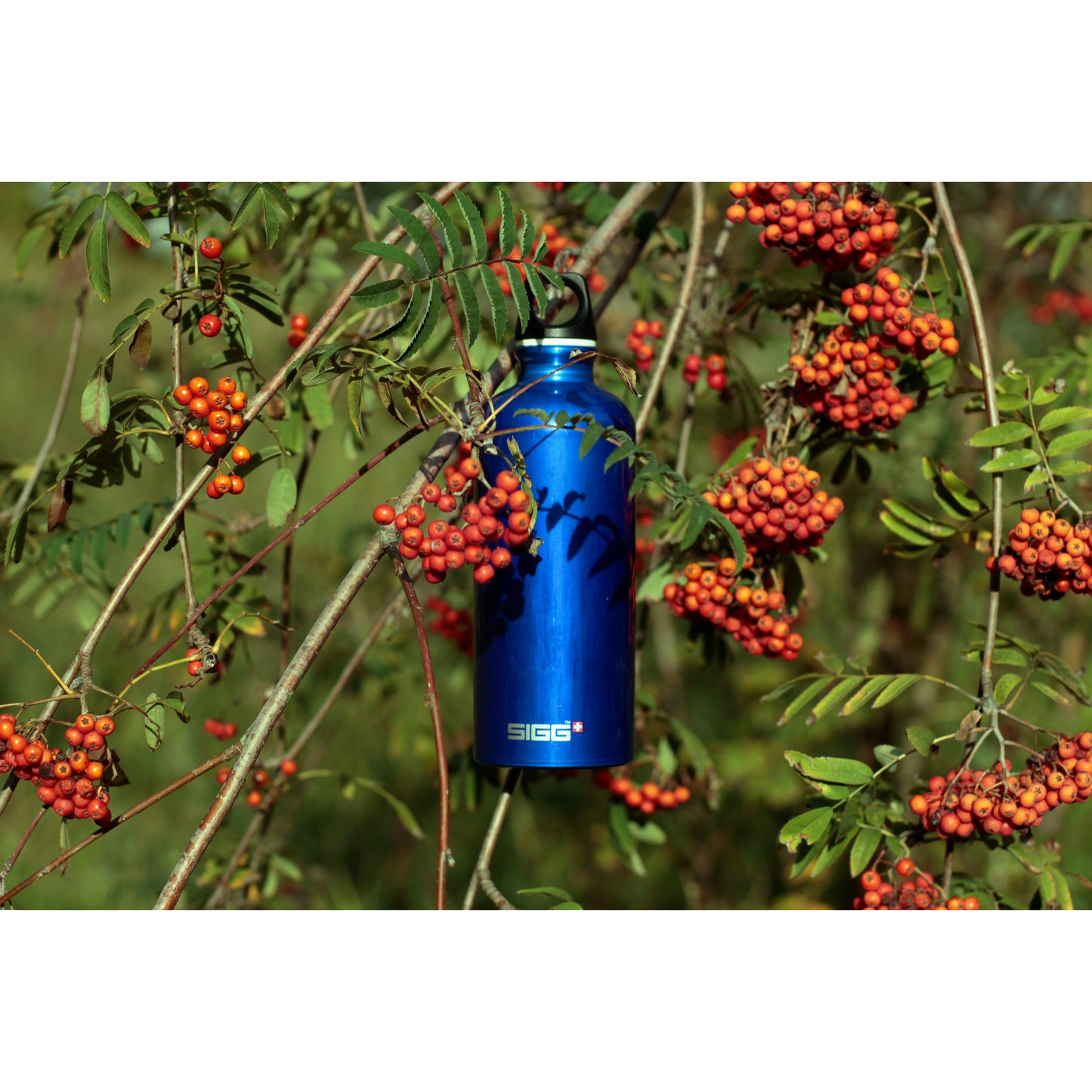 Sigg Traveller Water Bottle