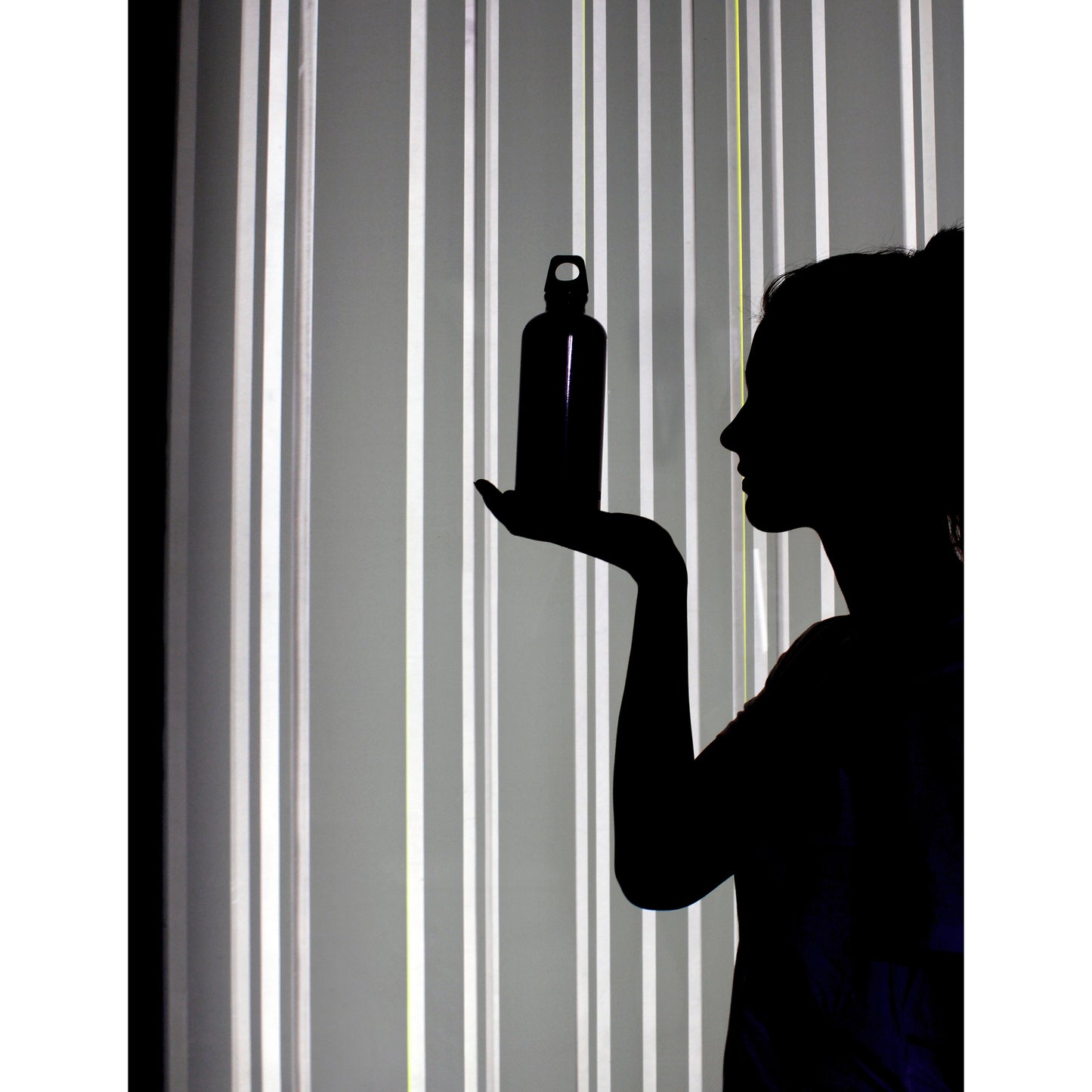 Sigg Traveller Water Bottle