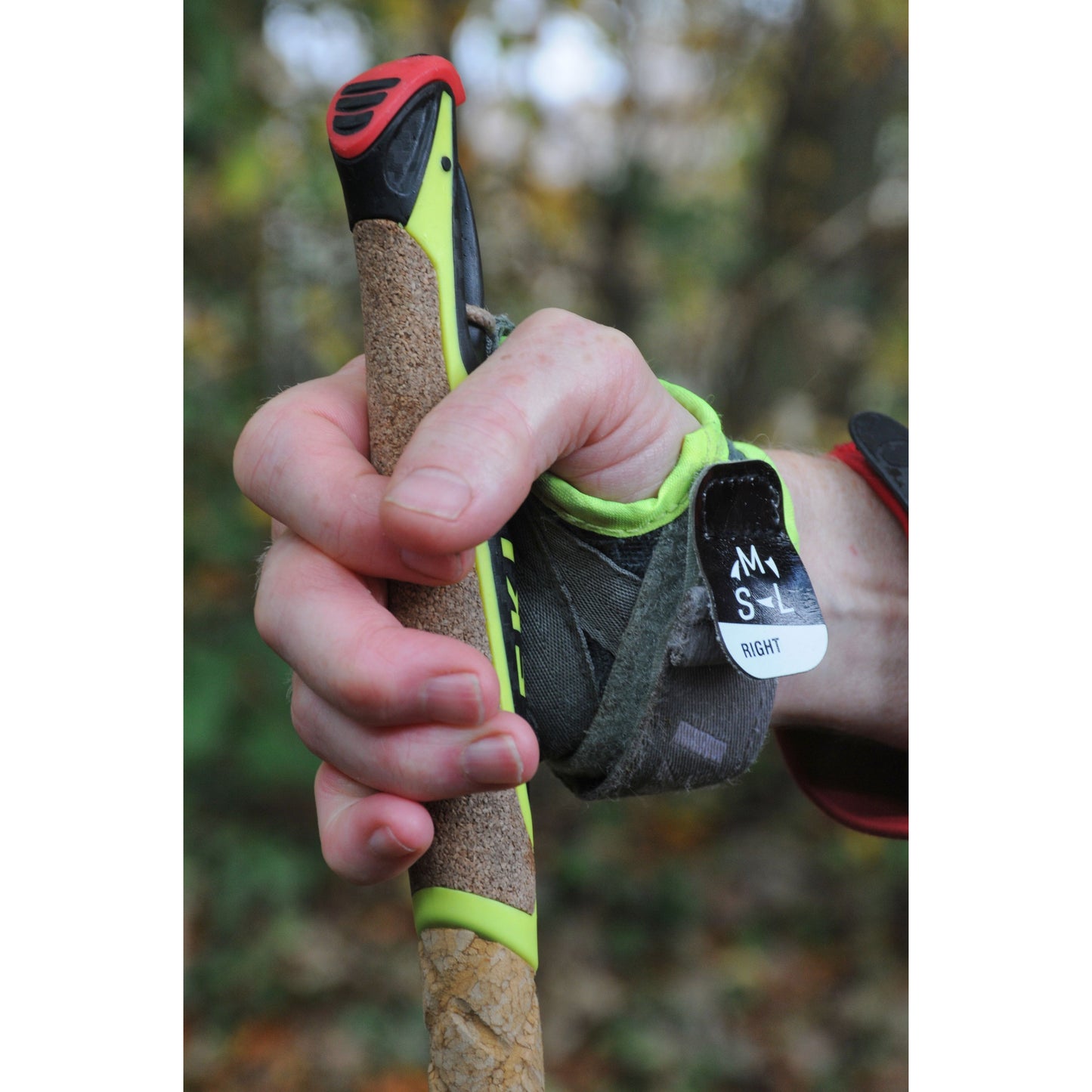 Leki Walker Platinium 100% Carbon Nordic Walking Poles (Pair)