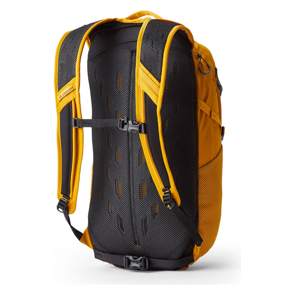 Gregory Nano 20 Backpack