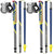 Leki Micro Flash Carbon Nordic Walking Poles (pair)